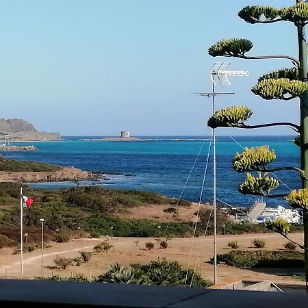 Apartamento La Finestra Sulla Torre Stintino Exterior foto